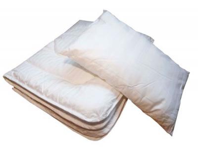 Комплект одеяло с подушкой "Бамбук"  064